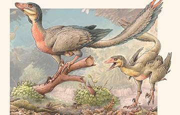 Палеонтологи открыли новый вид динозавров с похожими на крылья передними конечностями