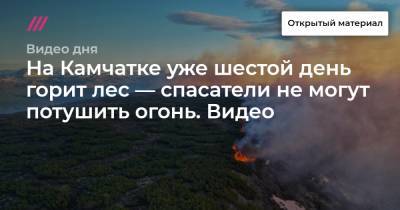 На Камчатке уже шестой день горит лес — спасатели не могут потушить огонь. Видео.