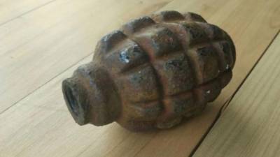 В Пулковском парке на Московском шоссе нашли гранату военных времён