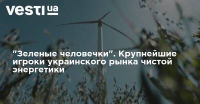 "Зеленые человечки". Крупнейшие игроки украинского рынка чистой энергетики