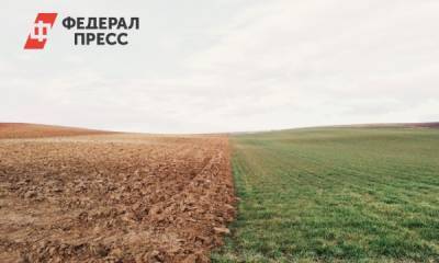 Режим ЧС могут ввести в южных районах Новосибирской области из-за засухи