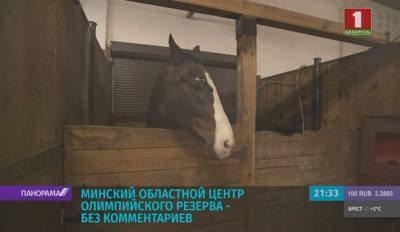 В Борисове под угрозой закрытия единственная школа олимпийского резерва по конному спорту