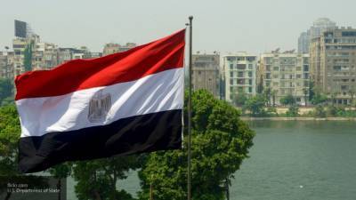 В Каире займутся изучением видео с пытками египтян боевиками ПНС Ливии