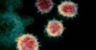 Bloomberg: вакцина от коронавируса спасет от смерти, но не остановит пандемию