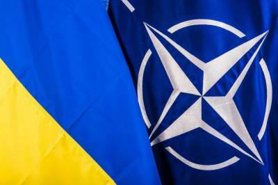 Вице-премьер по евроинтеграции заявила, что Украина стремиться вступить в НАТО после включения страны в список партнеров организации