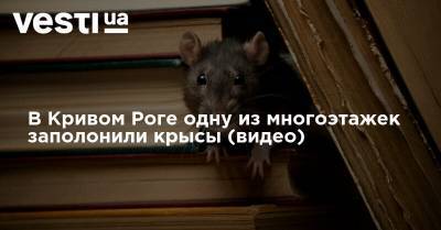 В Кривом Роге одну из многоэтажек заполонили крысы (видео)