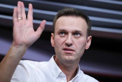 Почему Навальный пытается дискредитировать голосование по поправкам в Конституцию