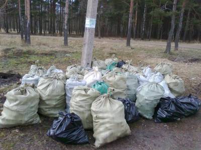 Российские звезды получат призы за уборку мусора