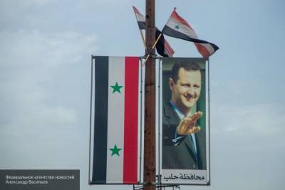 Кошкин оценил проделанную работу сирийского правительства Башара Асада