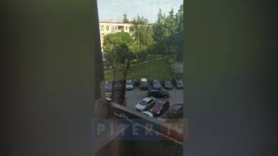 Видео: на Бухарестской улице произошел пожар в жилом доме