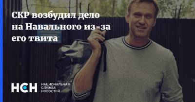 СКР возбудил дело на Навального из-за его твита