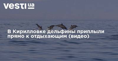 В Кирилловке дельфины приплыли прямо к отдыхающим (видео)