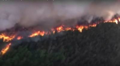 Лесной пожар на Камчатке охватил 750 гектаров