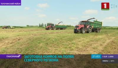 Погодные условия оптимальны для хорошего роста травянистых растений - tvr.by - район Толочинский