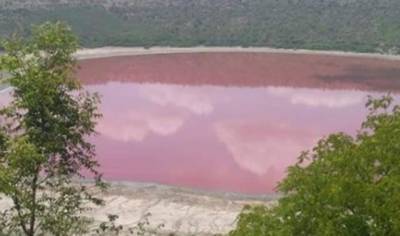 Ученые в шоке: в Индии вода в озере окрасилась в розовый цвет (ВИДЕО)