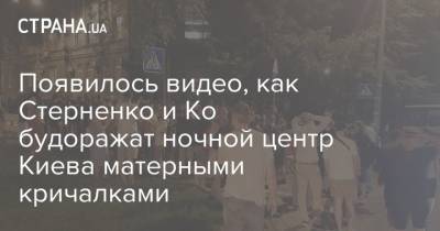 Появилось видео, как Стерненко и Ко будоражат ночной центр Киева матерными кричалками