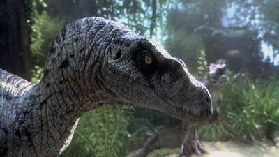 Аргентинские палеонтологи открыли новый вид динозавров