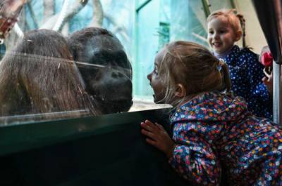 В Москве открываются зоопарки