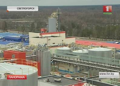 Новый завод сульфатной беленой целлюлозы в Светлогорске получит первую продукцию