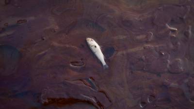 Разлив нефтепродуктов произошел в бухте Нагаева на Колыме