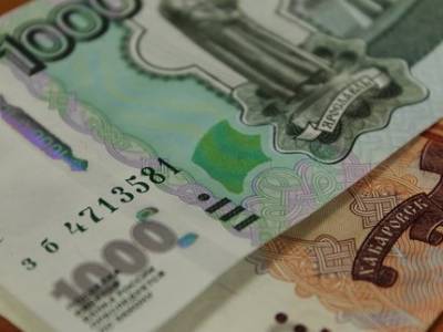Власти объяснили, почему в Башкирии снизилась сумма Единой денежной компенсации