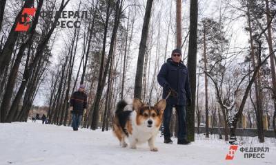 В Гидрометцентре рассказали, будут ли в России еще малоснежные зимы
