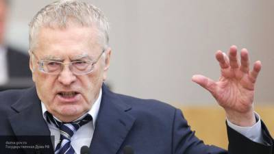 Жириновский предложил решение проблемы расизма в США