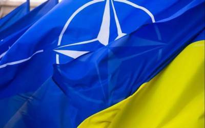 НАТО ждет от Киева принятия пакета новых законов — вице-премьер Украины