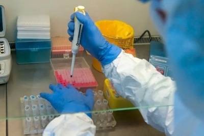 В Астраханской области вводятся новые лаборатории для тестирования на коронавирус
