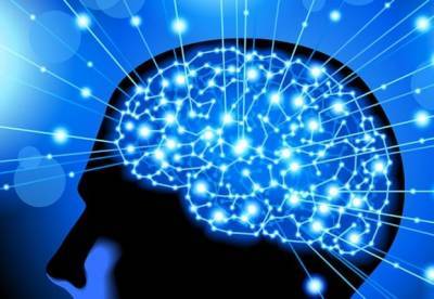Ученые назвали три суперпродукта для улучшения работы головного мозга