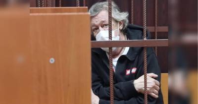 «Очень плохо себя чувствует»: адвокат рассказал о состоянии Ефремова после смертельного ДТП