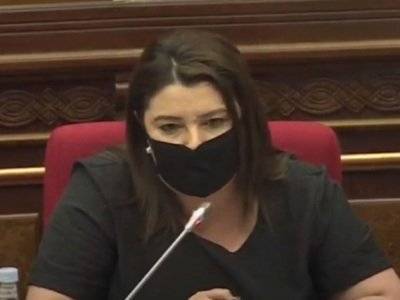 Депутат: В отношении Гагика Царукяна осуществляется политическое преследование