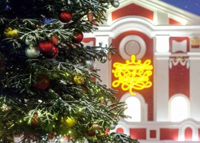 Сенатор Кутепов предложил в 2021 году урезать новогодние каникулы