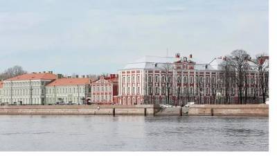 Сразу 11 петербургских университетов попали в рейтинг лучших в России