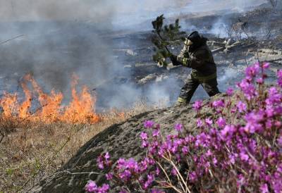 На Камчатке полыхает крупный лесной пожар