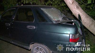 В Винницкой области пьяная женщина сбила четверых детей