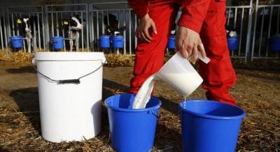 В Украине с начала года сократилось производство молока