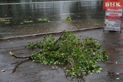 В центральных и южных районах Коми объявлено штормовое предупреждение