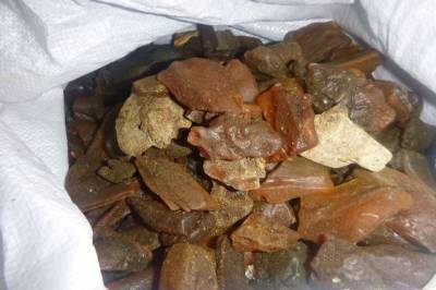 В Калининградской области полиция изъяла 18 кг незаконно добытого янтаря