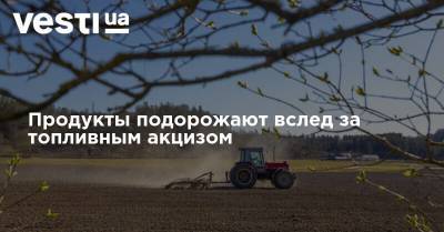 Продукты подорожают вслед за топливным акцизом - vesti.ua - Украина - Аграрии