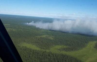 На Ямале зафиксировано 24 лесных пожара на площади более 1,1 тыс. гектаров