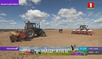 Сев кукурузы в Беларуси проходит с опережением графика