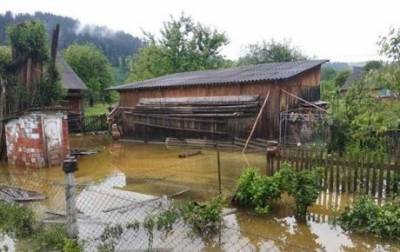 Непогода наделала беды в Черновицкой области: из берегов вышла река Черемош (ФОТО)