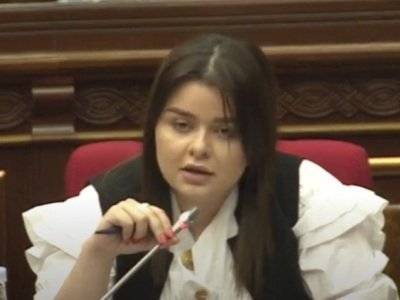 Депутат от «Процветающей Армении»: Господин прокурор, вы преднамеренно не допросили Седрака Арустамяна?