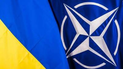 НАТО навяжет Украине свои стандарты