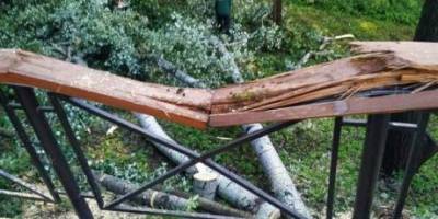 Поваленные из-за грозы деревья повредили перила на Аллее художников в Киеве (ФОТО)