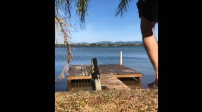 Пес испортил прыжок хозяина в воду, но все равно развеселил соцсети - видео