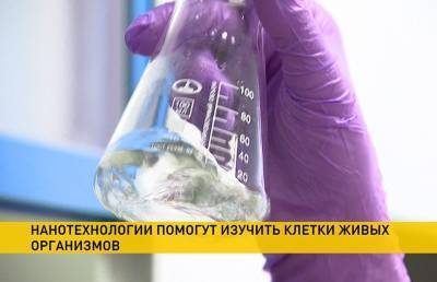 Белорусские ученые изучат клетки живых организмов с помощью нанотехнологий