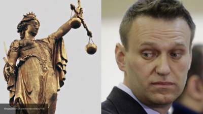 "Агора" встала на защиту Навального, назвав клевету в адрес ветерана оценочным суждением