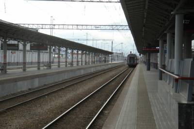 Поезда из Нижнего Новгорода в столицу станут ходить чаще